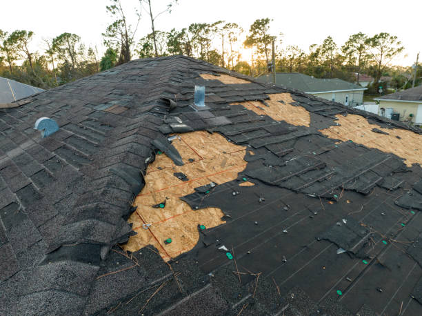 Professional Roofing Services in Oak Brook, IL